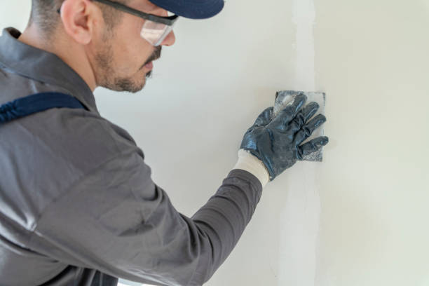 Best Comprehensive Air Testing for Mold Contaminants  in Summerside, OH
