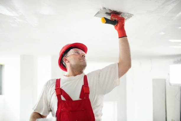 Best HVAC Mold Inspection and Cleaning  in Summerside, OH